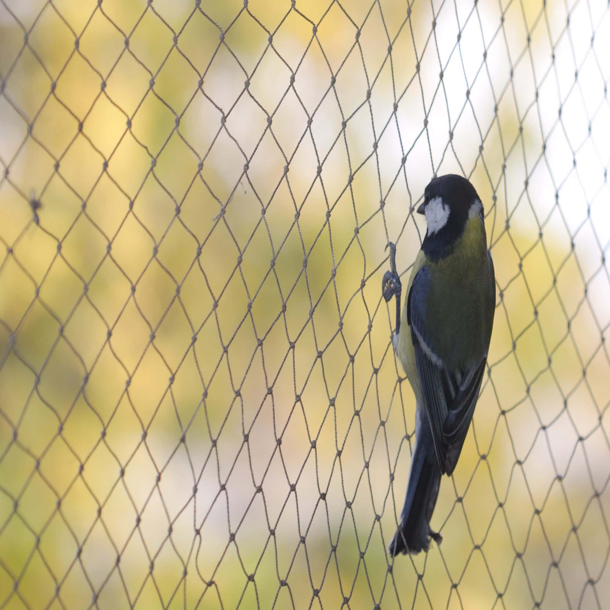 Balcony Safey Nets in Hyderabad